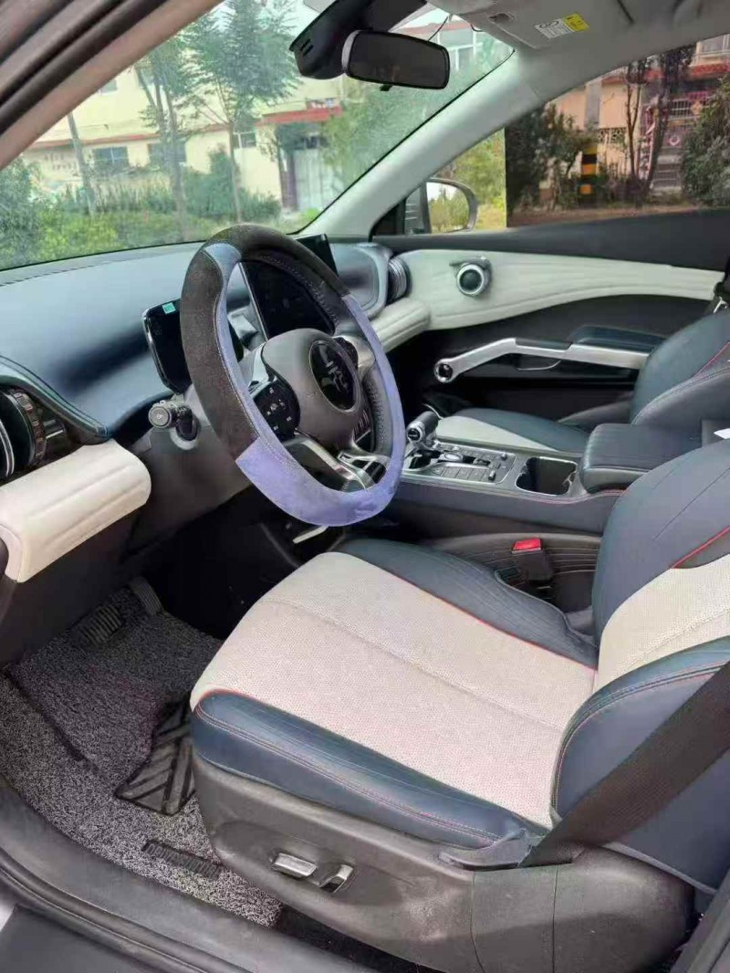 东营23年比亚迪元6