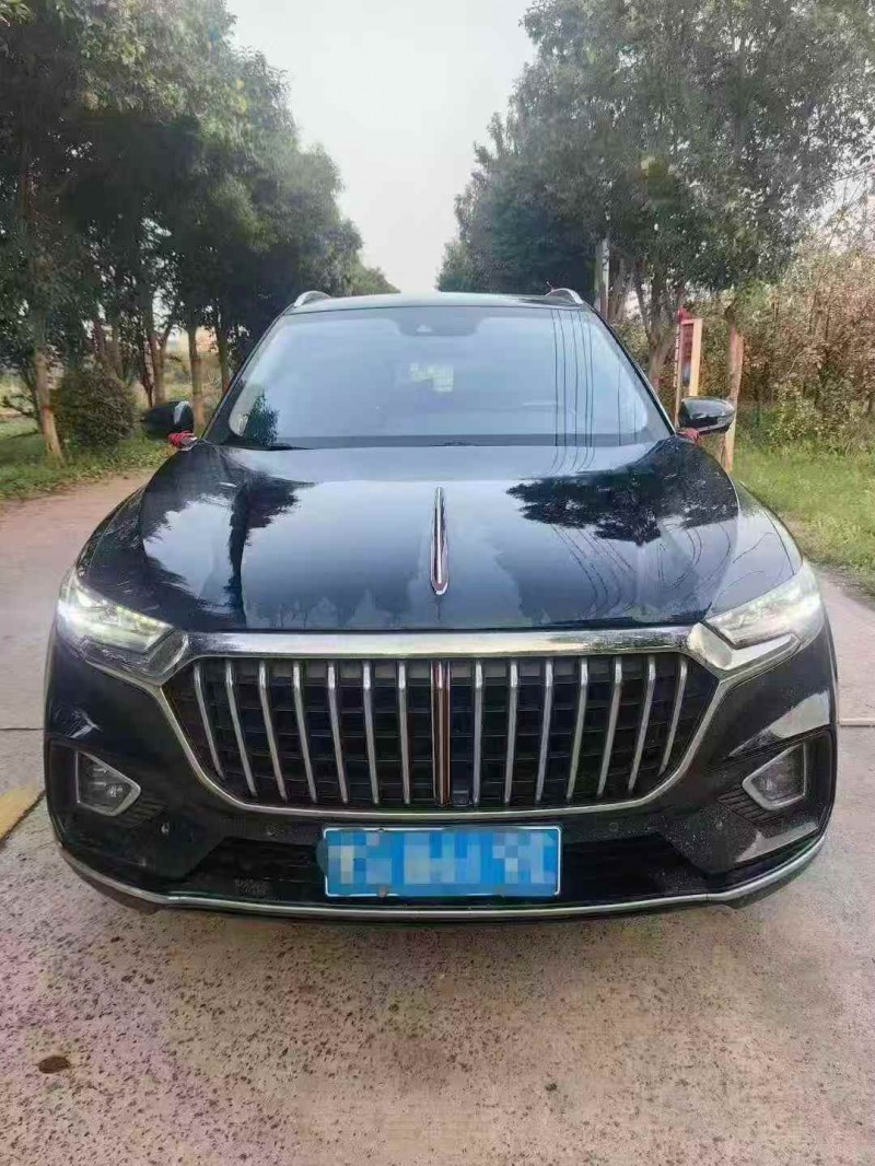 平顶山21年红旗HS51