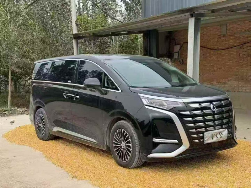 枣庄24年腾势D93