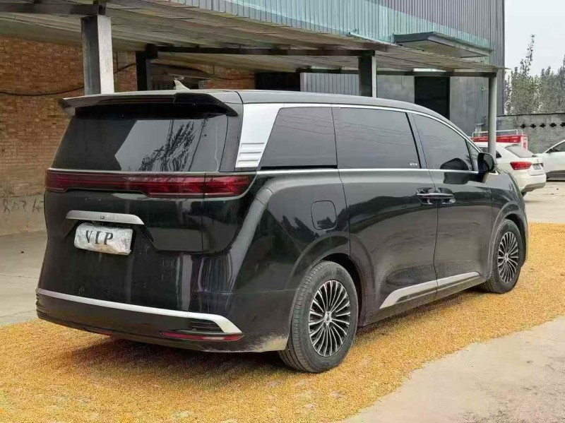 枣庄24年腾势D98