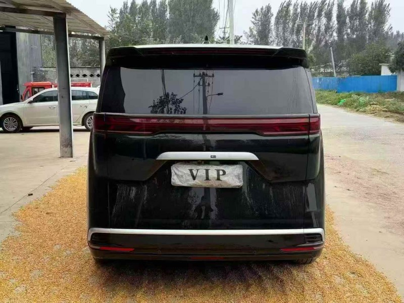 枣庄24年腾势D99