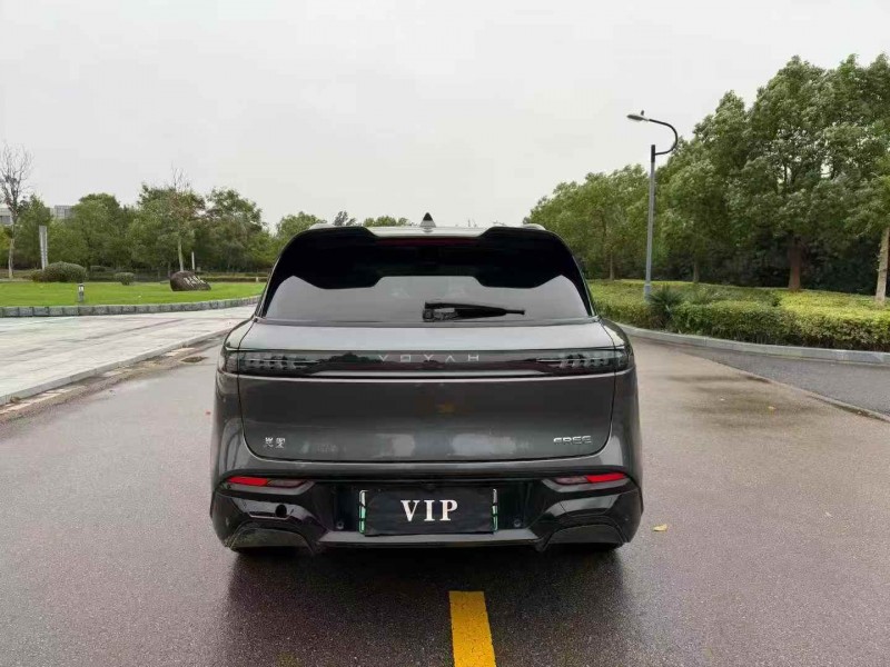 徐州24年岚图汽车FREE8