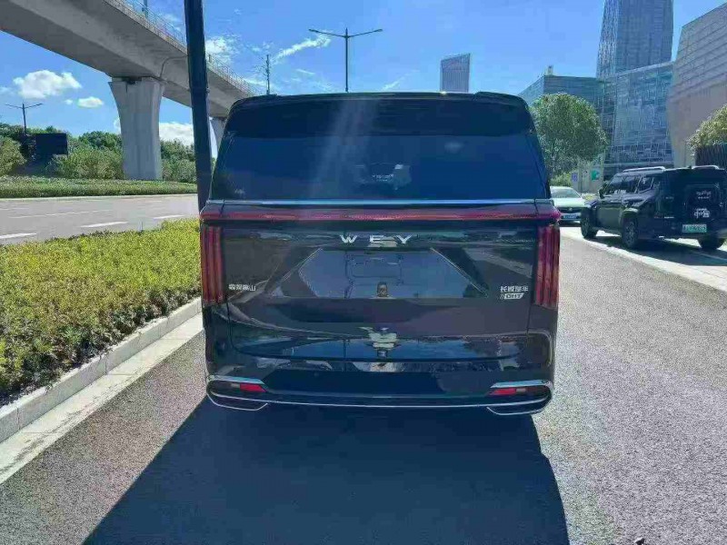 嘉兴24年长城汽车魏牌9