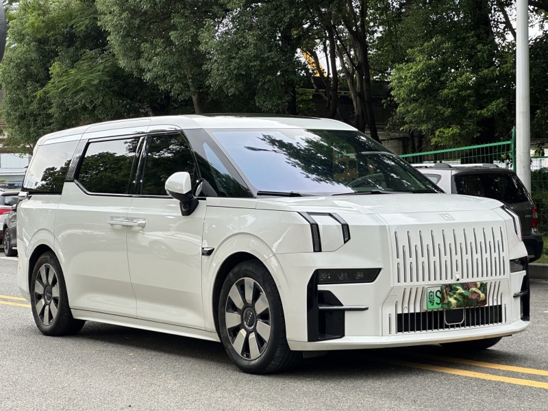 东莞24年极氪汽车0092