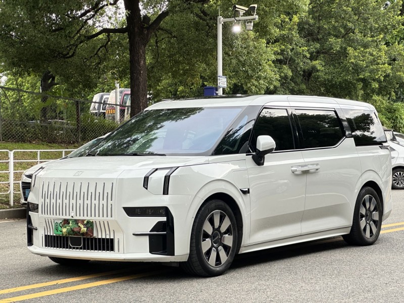 东莞24年极氪汽车0093