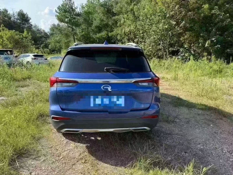 菏泽20年传祺GS49