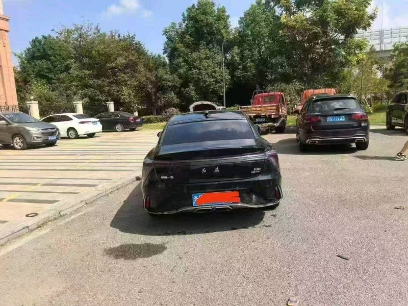 台州24年红旗H63