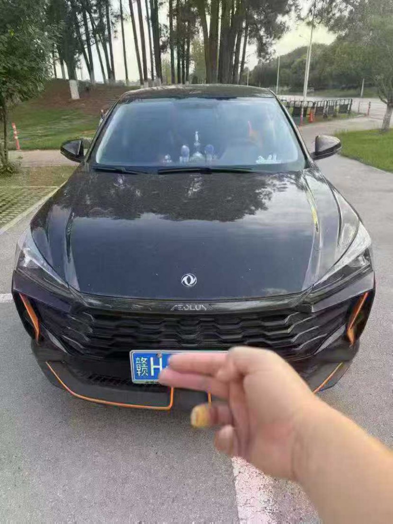 景德镇24年东风奕炫1