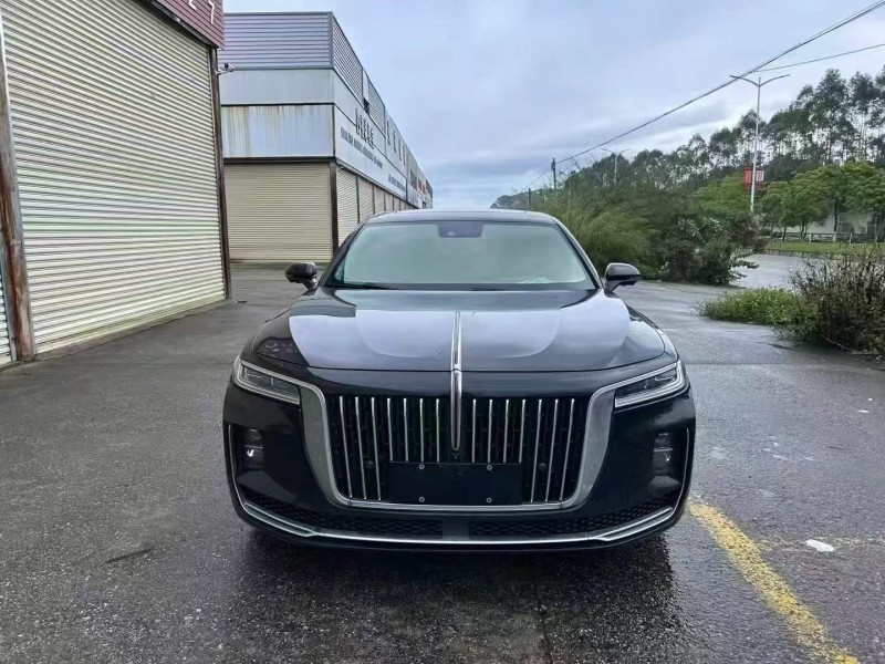 东莞21年红旗H91