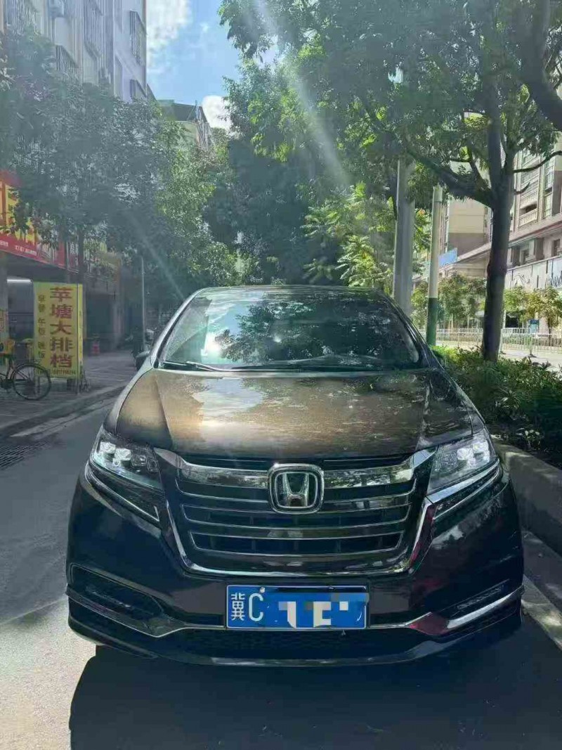 桂林19年本田艾力绅1