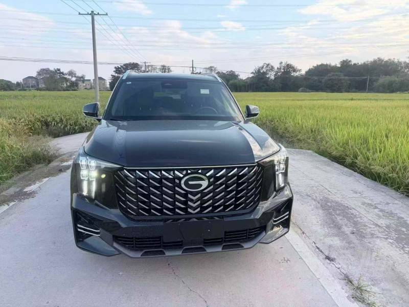 嘉兴25年传祺GS81