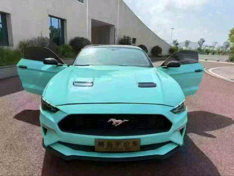 思茅19年福特野马1