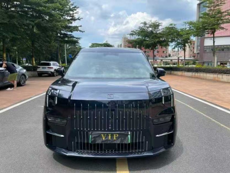 汕尾23年极氪汽车0091