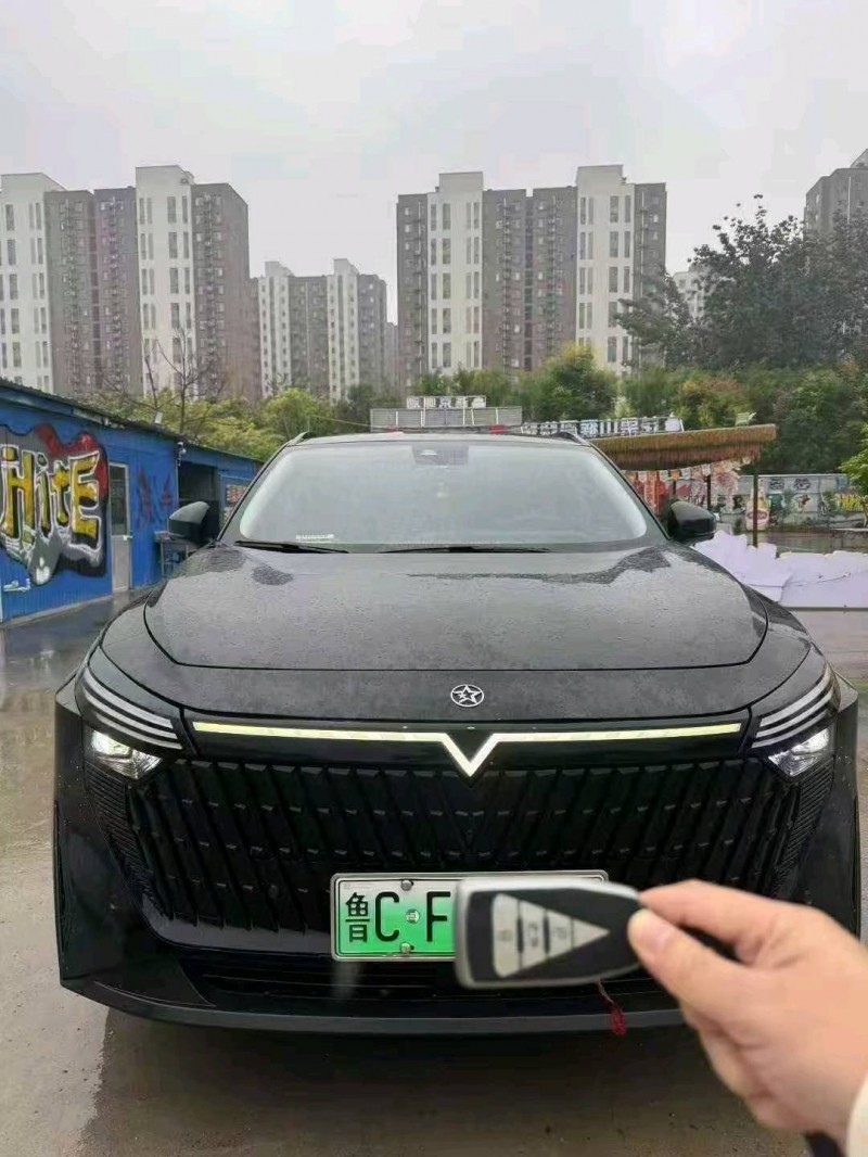 淄博23年启辰大V1