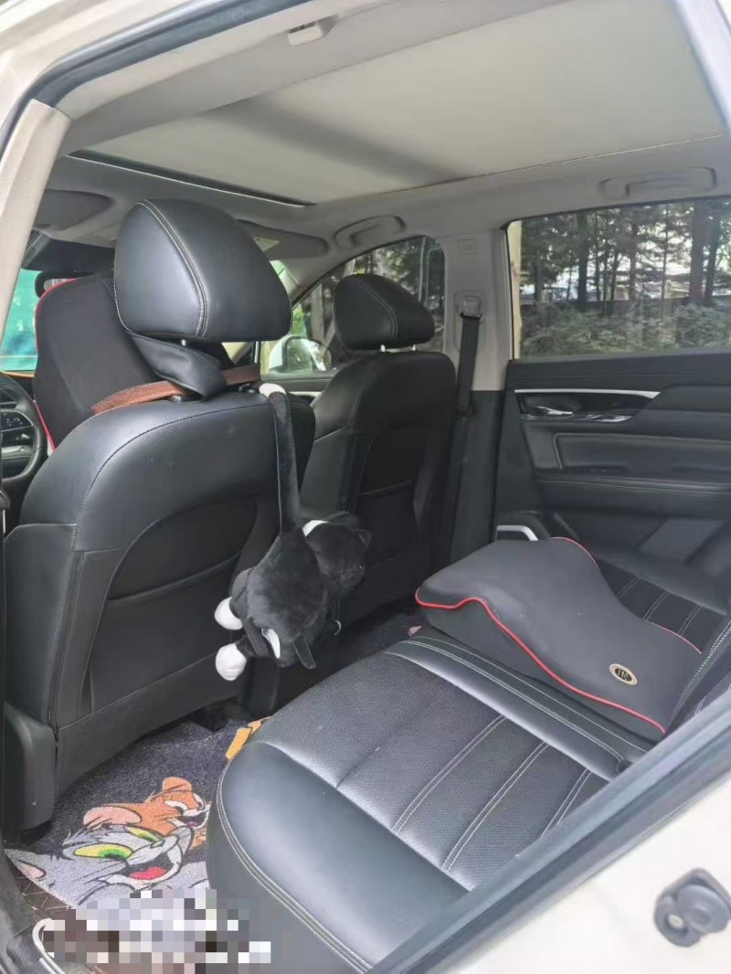 青岛20年启辰启辰星6