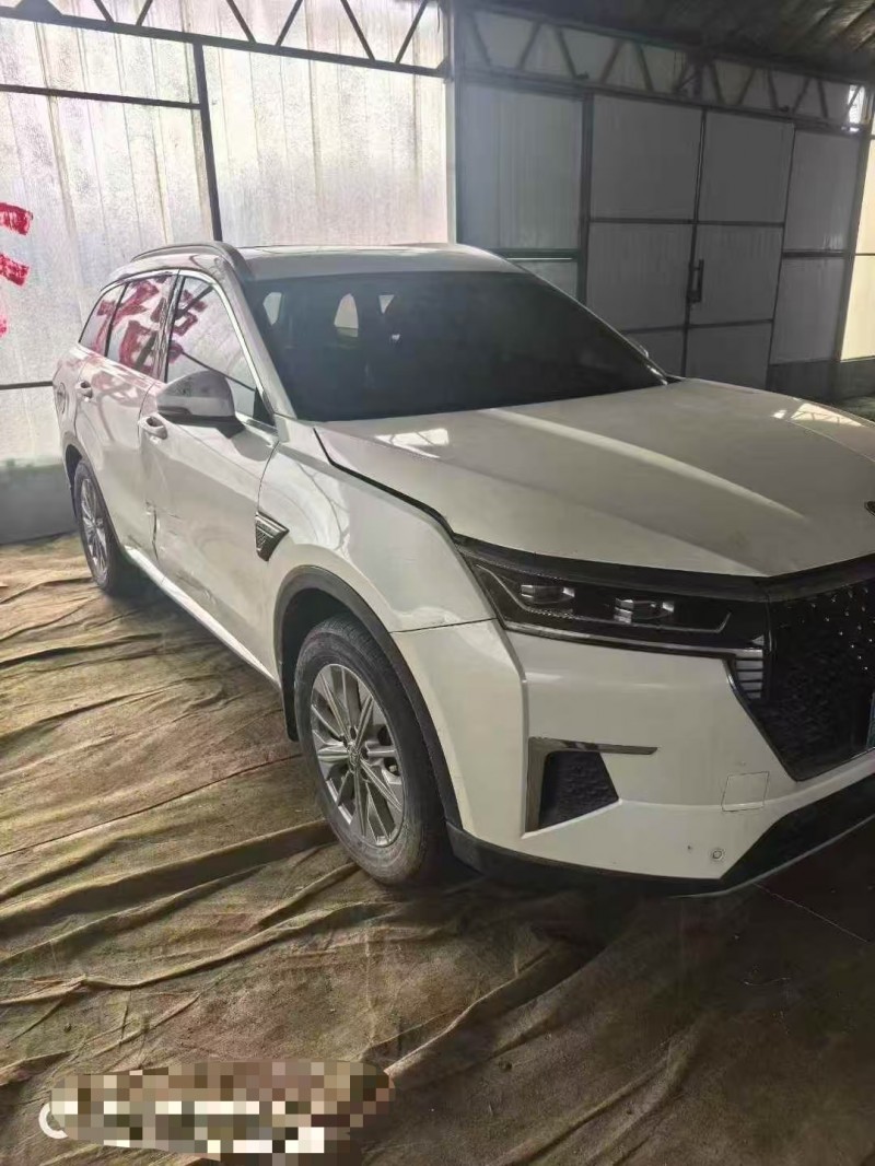 济宁20年启辰启辰星2