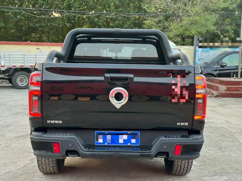 淄博21年长城汽车炮 皮卡9
