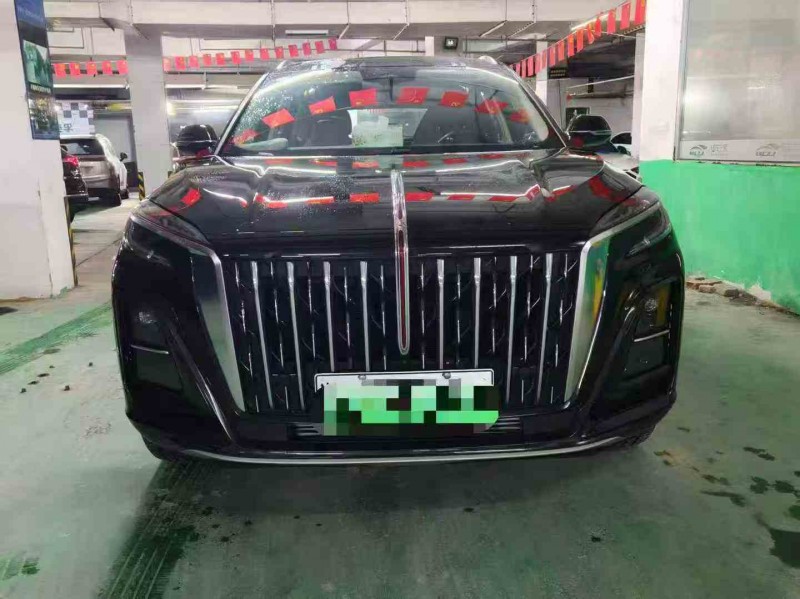 丽水25年红旗HS31