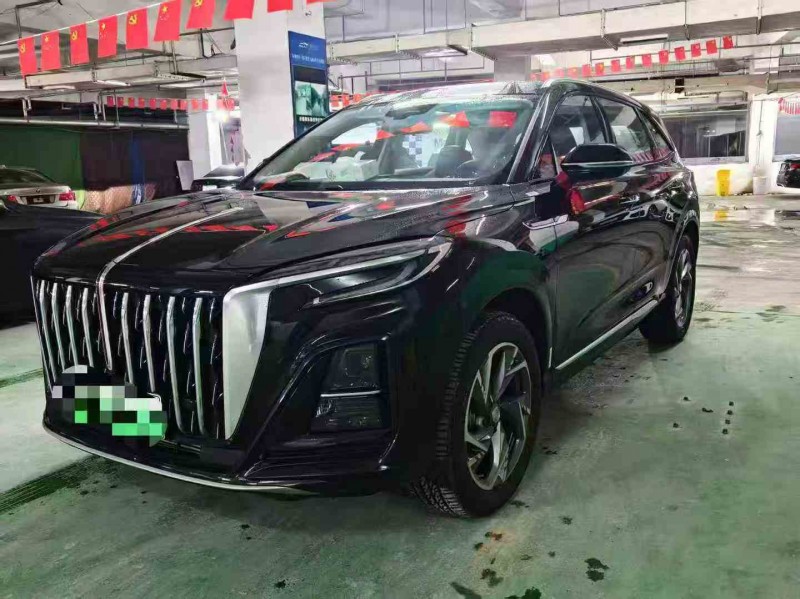 丽水25年红旗HS33