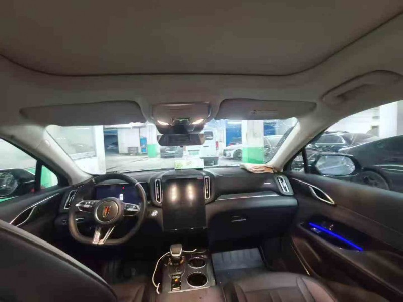 丽水25年红旗HS36