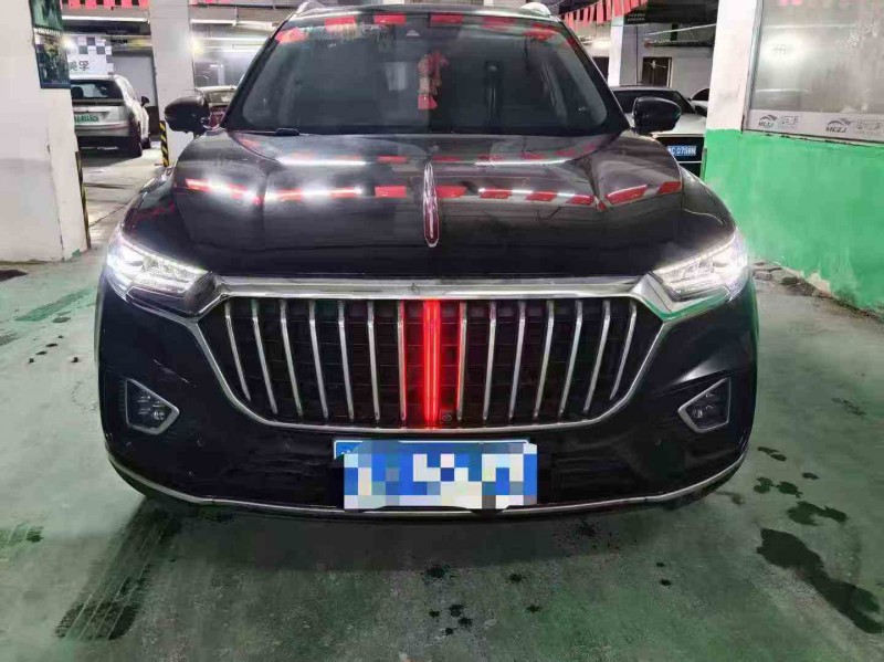 丽水20年红旗HS51