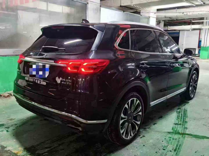 丽水20年红旗HS58