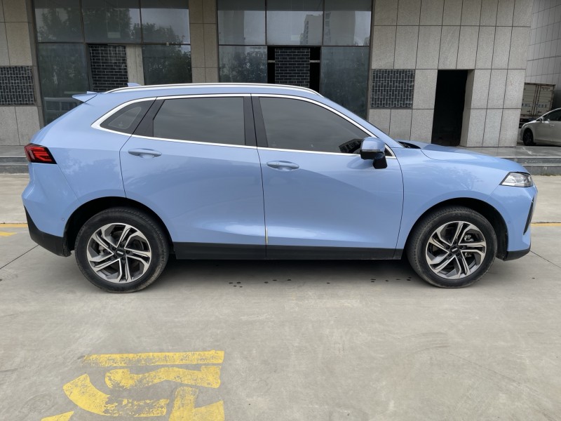 济宁21年长城汽车魏牌9