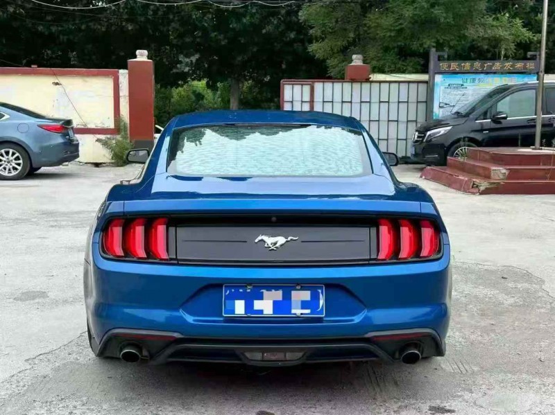 淄博18年福特野马9