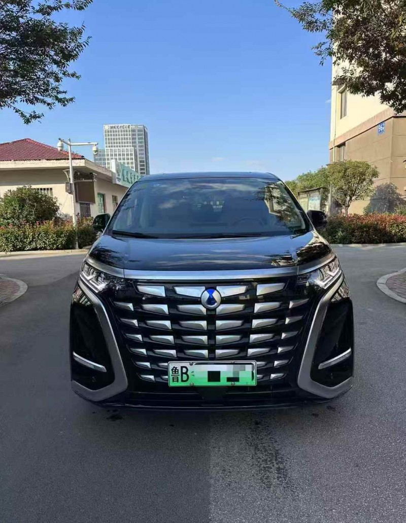 枣庄25年腾势D91