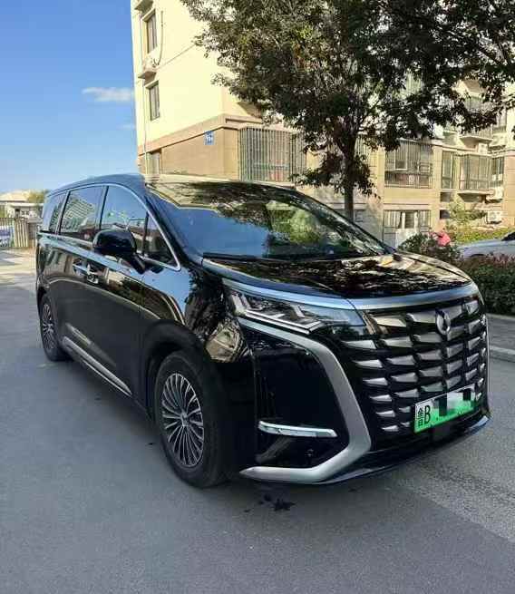 枣庄25年腾势D93