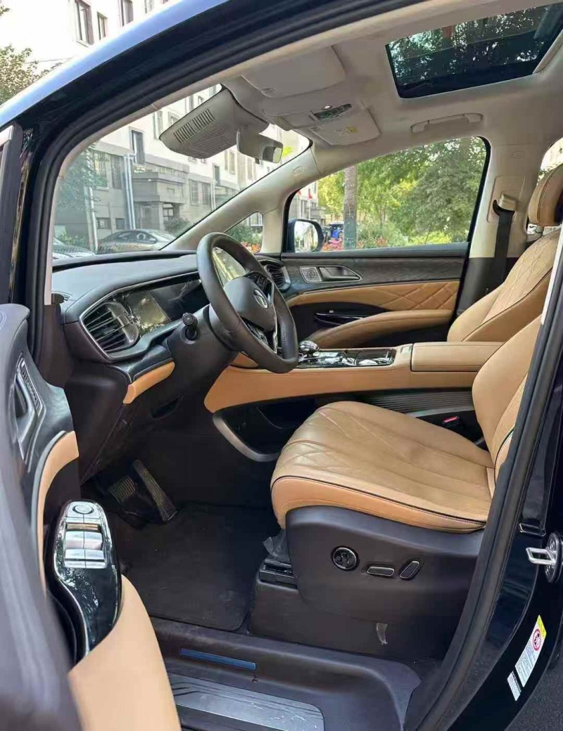 枣庄25年腾势D96