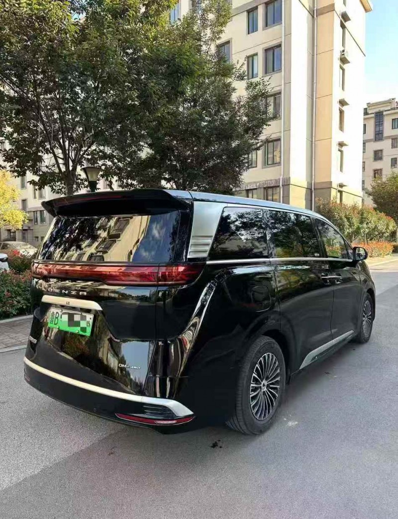 枣庄25年腾势D97