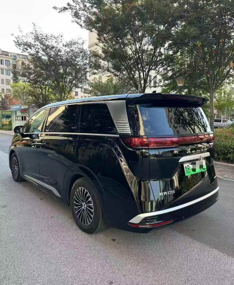 枣庄25年腾势D98