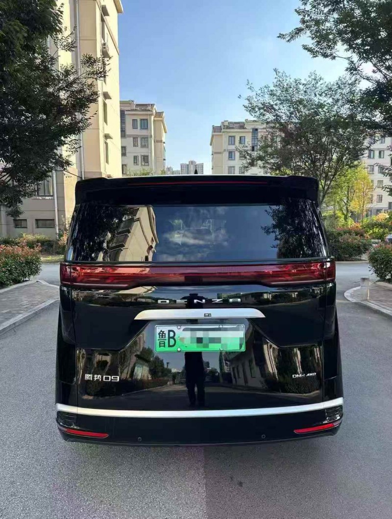 枣庄25年腾势D99