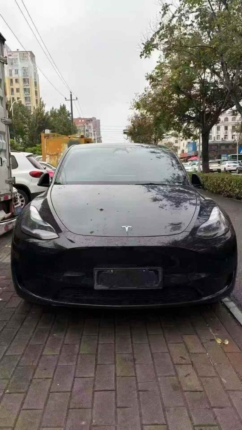 新乡24年特斯拉MODEL Y1