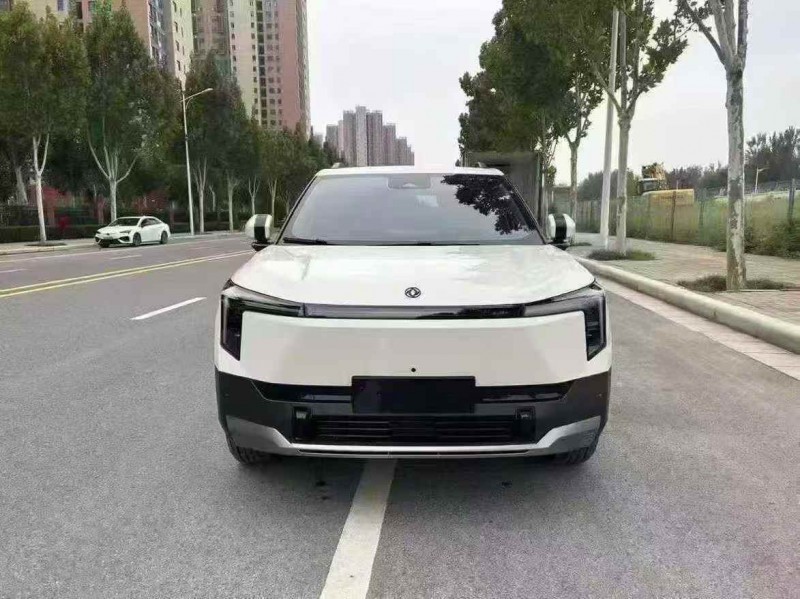 滁州25年东风纳米1