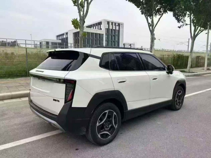 滁州25年东风纳米8