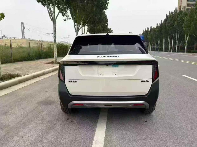 滁州25年东风纳米9