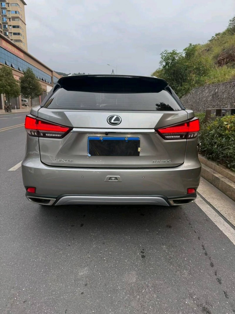 娄底21年雷克萨斯RX2