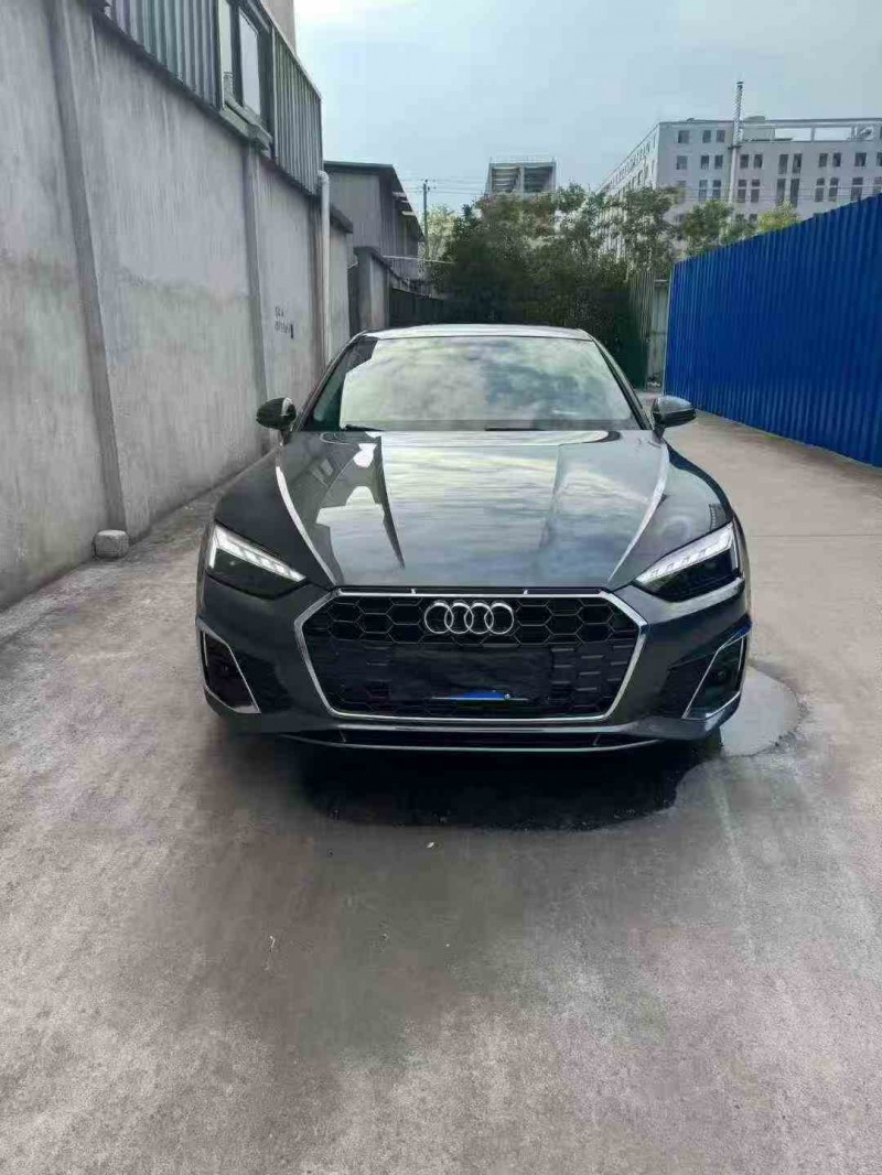 绍兴24年奥迪A51