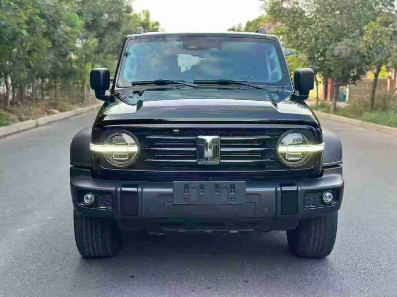 石家庄22年长城汽车坦克1