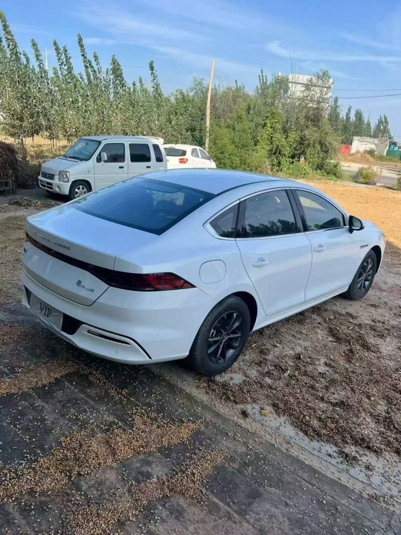 邢台25年比亚迪秦8