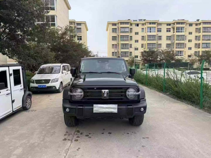 徐州24年长城汽车坦克1