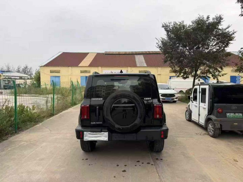 徐州24年长城汽车坦克9