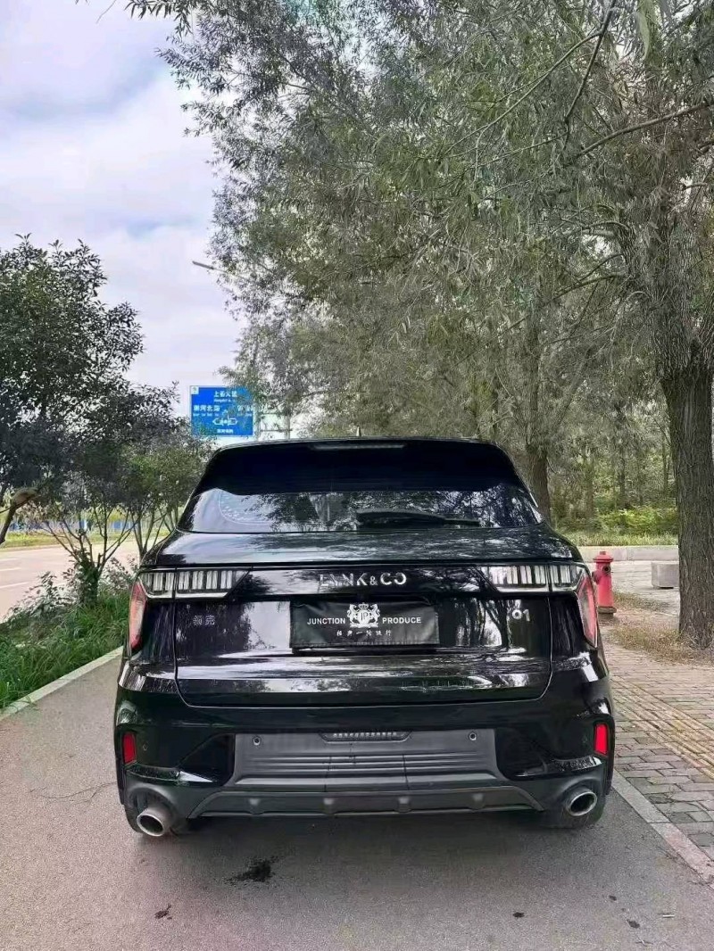 枣庄21年领克014