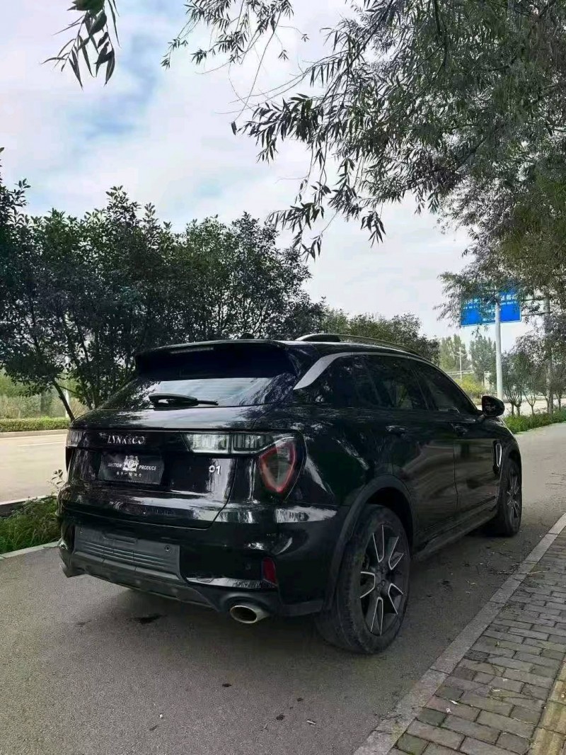 枣庄21年领克016