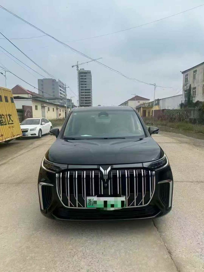 菏泽24年岚图汽车梦想家1