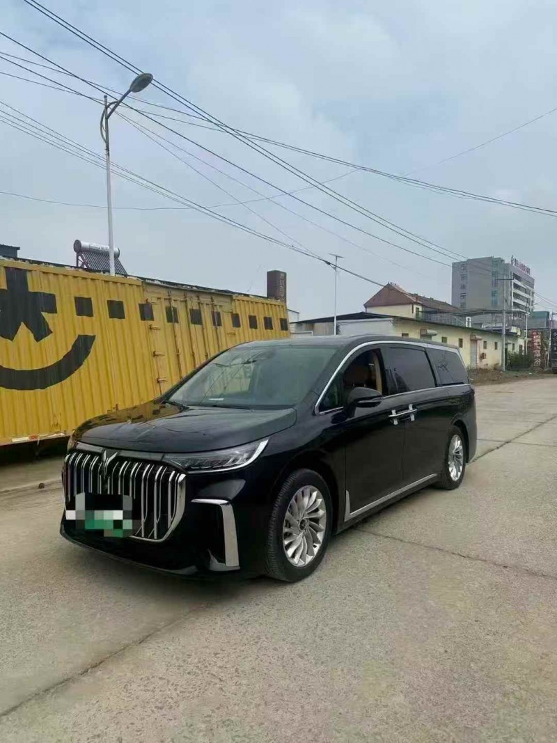 菏泽24年岚图汽车梦想家2