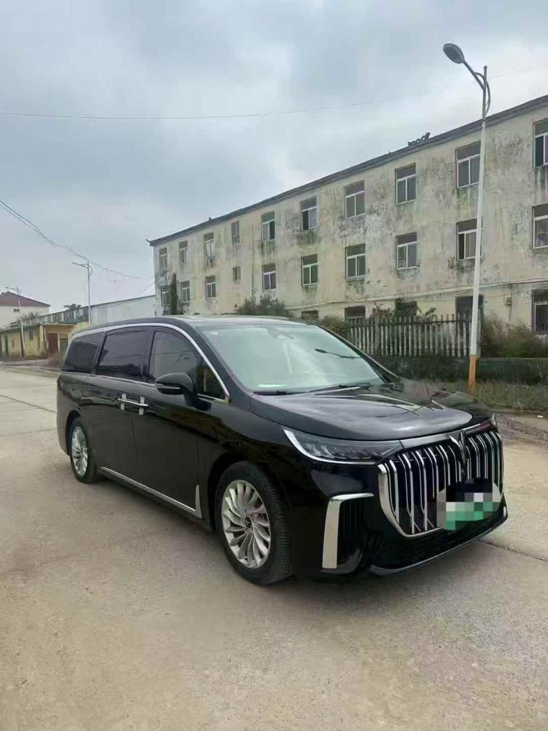 菏泽24年岚图汽车梦想家3