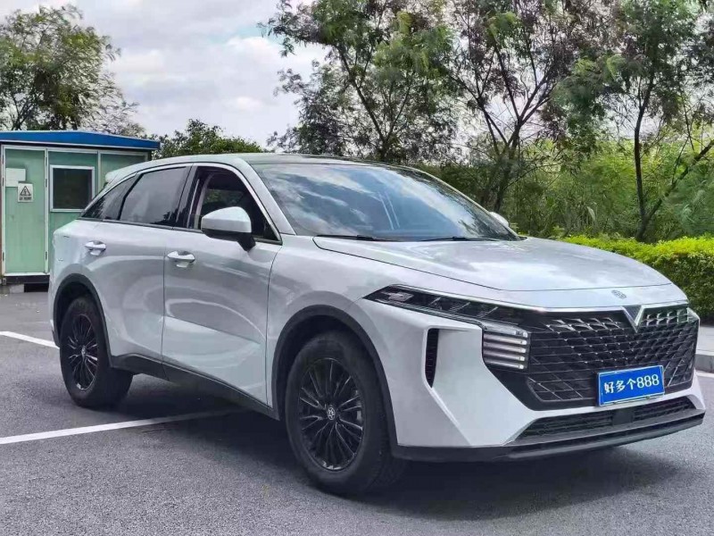 东莞25年启辰大V3